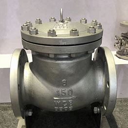 Check Valve Manufacturer India