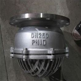 Foot Valves Manufacturer India. Foot Valves Manufacturer India.