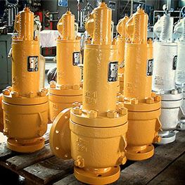 Safety Valves Manufacturer India.